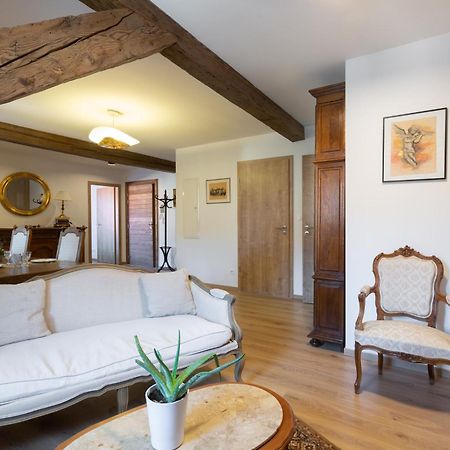 Le Rhenanus Jean Geiler De Kaysersberg - Appartement Ideal Pour Famille, Au Calme - Centre Ville - Parking Gratuit Селеста Екстер'єр фото