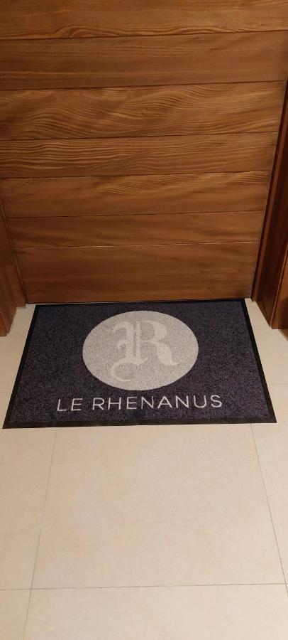 Le Rhenanus Jean Geiler De Kaysersberg - Appartement Ideal Pour Famille, Au Calme - Centre Ville - Parking Gratuit Селеста Екстер'єр фото