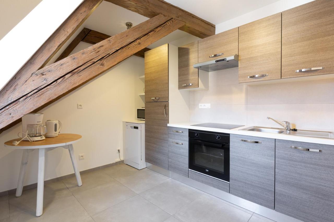 Le Rhenanus Jean Geiler De Kaysersberg - Appartement Ideal Pour Famille, Au Calme - Centre Ville - Parking Gratuit Селеста Екстер'єр фото