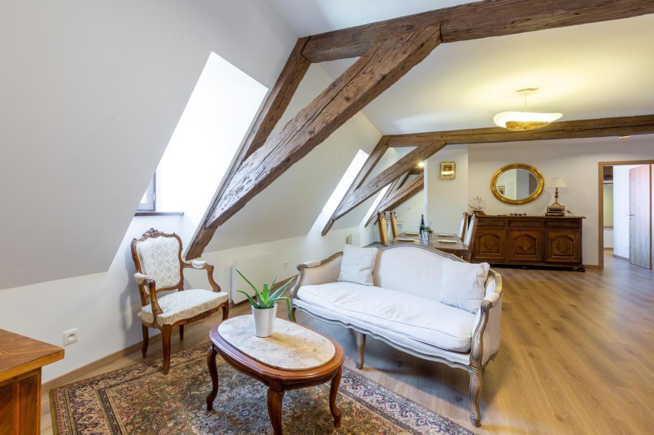 Le Rhenanus Jean Geiler De Kaysersberg - Appartement Ideal Pour Famille, Au Calme - Centre Ville - Parking Gratuit Селеста Екстер'єр фото